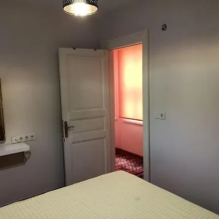 Διαμέρισμα Historical Flat With Amazing Golden Horn View Κωνσταντινούπολη